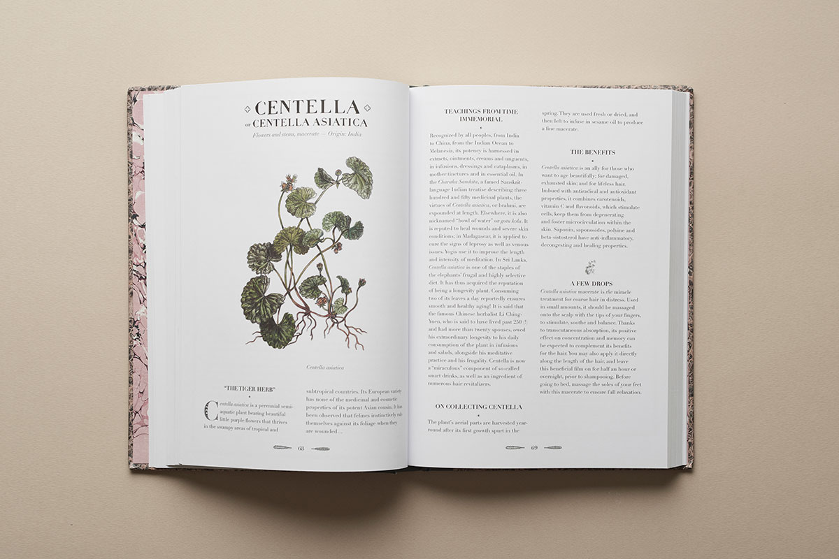 ARI__art_recherche_industrie_atlas_of_natural_beauty_ebury_press_2