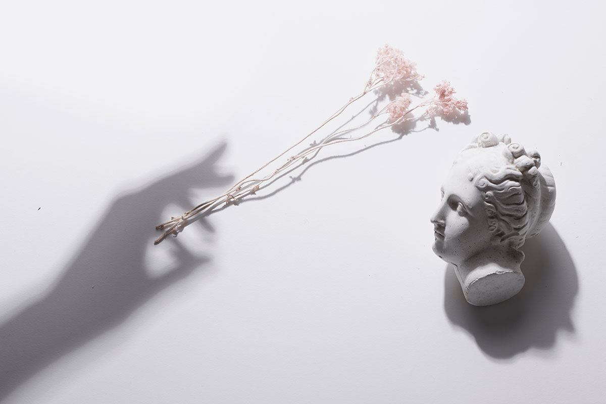 ARI_art_recherche_industrie_fleurs_preservees_1