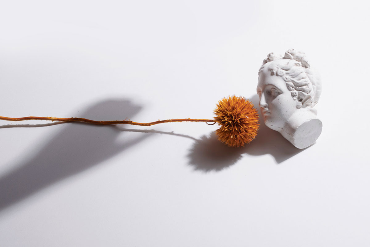 ARI_art_recherche_industrie_fleurs_preservees_10
