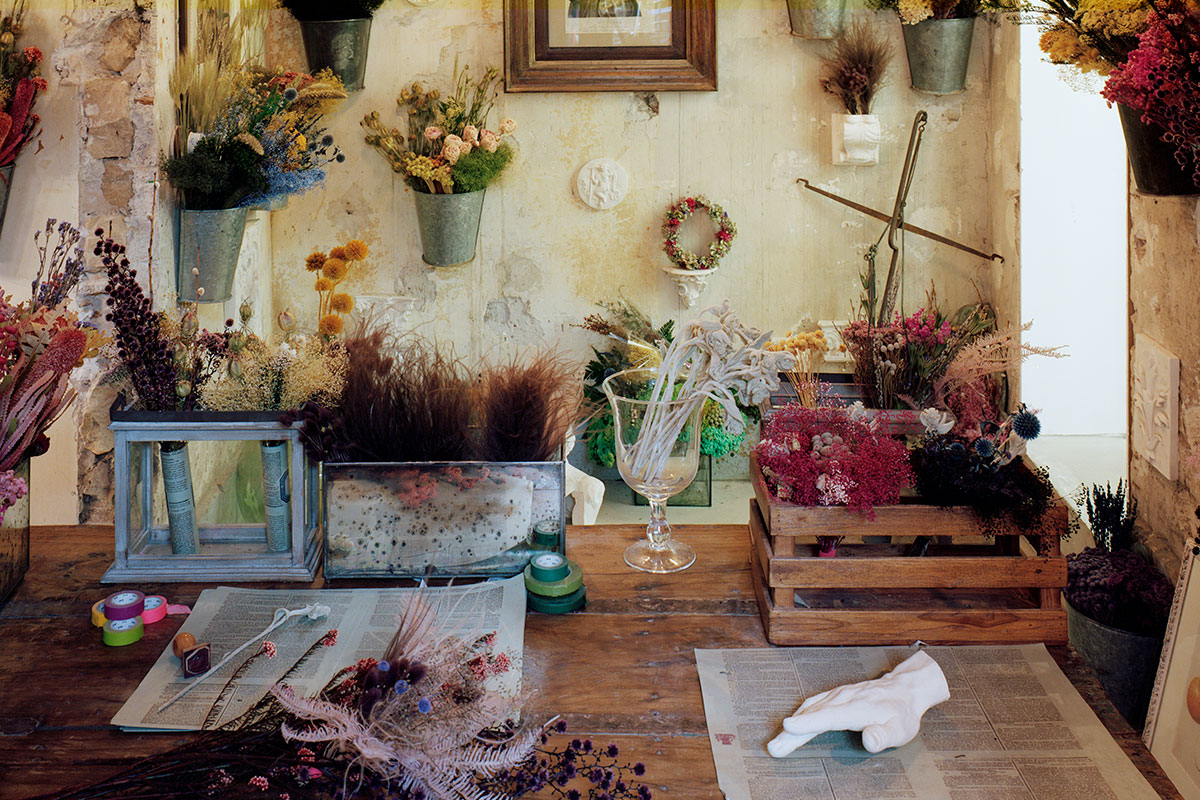 ARI_art_recherche_industrie_fleurs_preservees_2