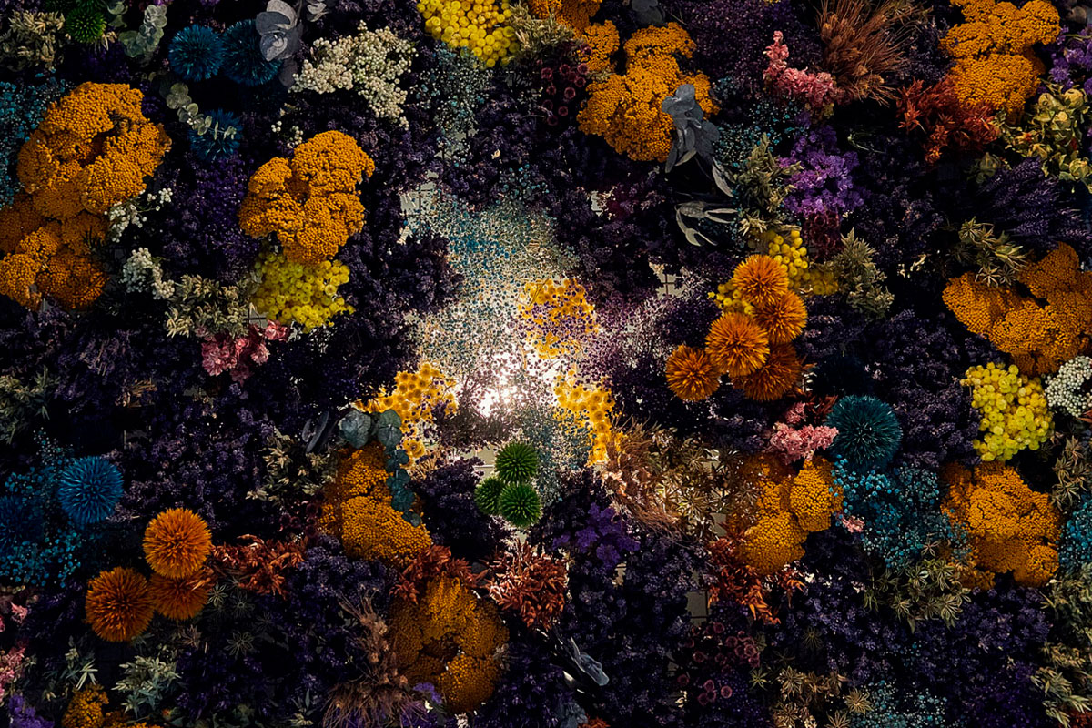 ARI_art_recherche_industrie_fleurs_preservees_3