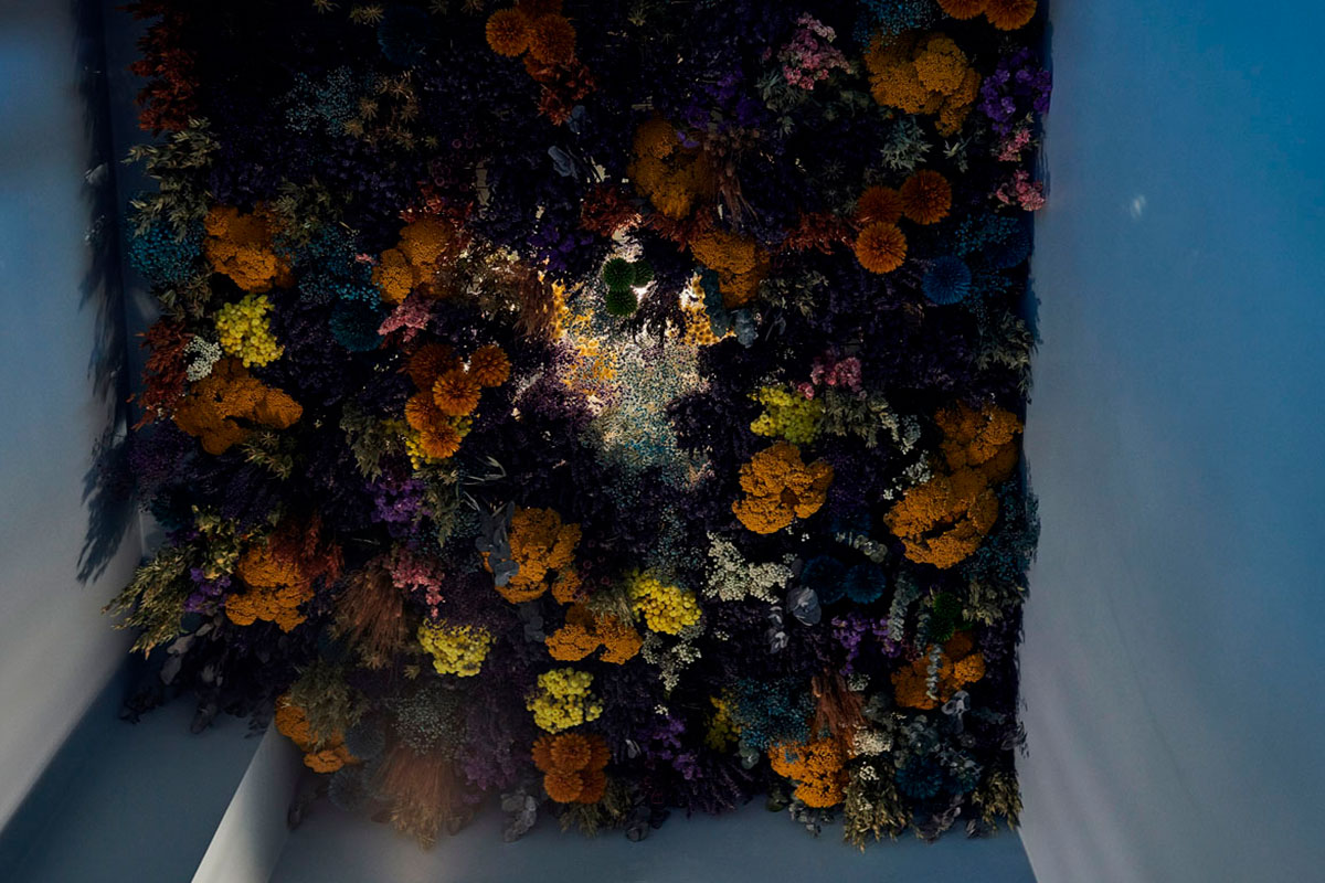 ARI_art_recherche_industrie_fleurs_preservees_7